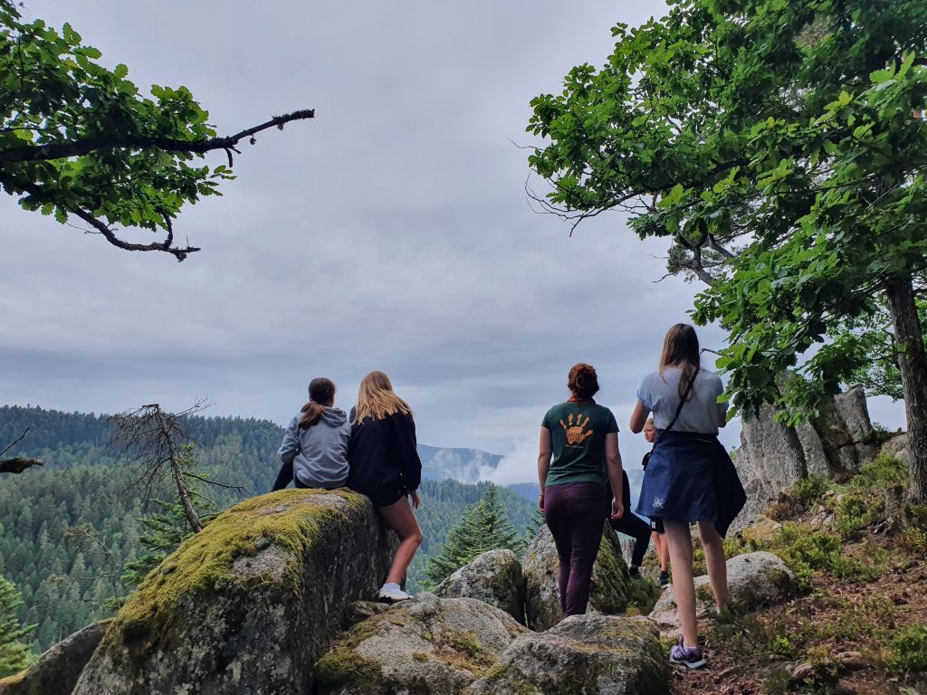 Löwenwald Erlebnispädagogik